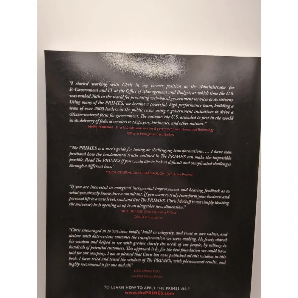 Primes : How Any Group Can‎ Solve Any Problem by Chris McGoff (2010, Trade...